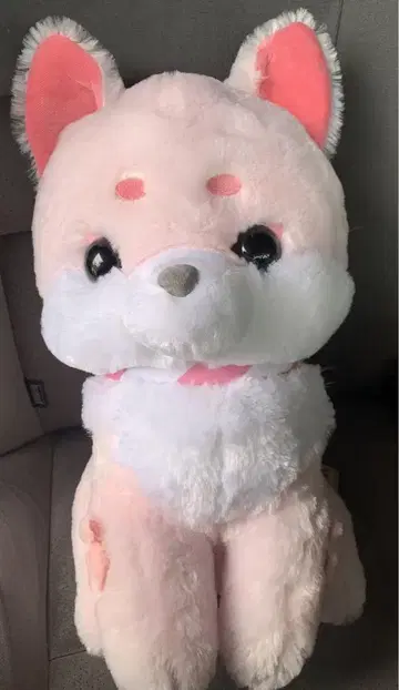 쵸네이비와 코마이 울트라 BIG2 산고