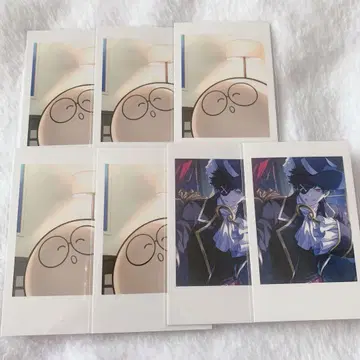 crazy raccoon CR 자스파 mondo 폴라로이드 셀카