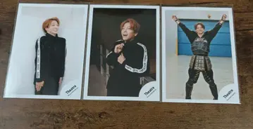 테라니 타쿠토 공식 사진