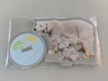 북극곰 부모와 새끼 아크릴 스탠드 1개 야기야마 동물공원 역