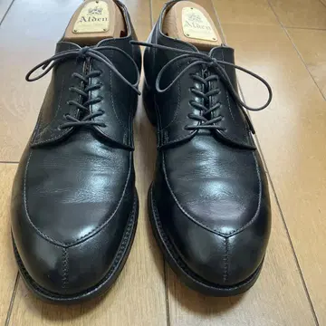 알든 V 칩 6.5D 카프 54312