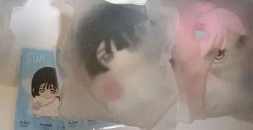 에이리언 스테이지 봉제 인형 불가사리 미지 스아 에이스테 불가사리