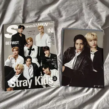 stray kids 현진 scawaii 미니 포스터 현릭스
