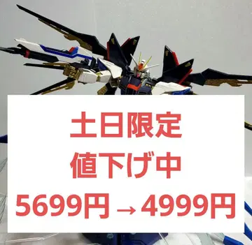 MG ZGMF-X20A 스트라이크 프리덤 풀 버스트 모드 조립 완료
