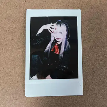머큐로 보라색 렌게 폴라로이드