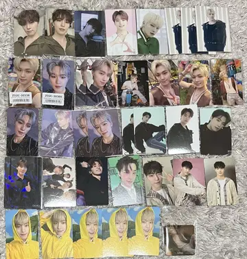 seventeen 세부치 디노 묶음 판매