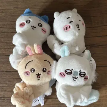 치이카와 봉제 인형 스크런치 하치와레 토끼 모몽가 치이카와 컴프 세트