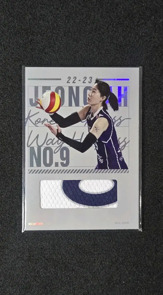 SCC Carbon Park Jung-ah Worn Name Patch Jersey