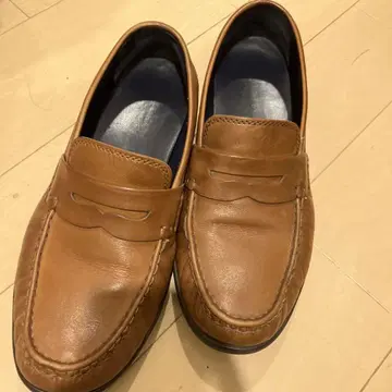 셰퍼드 페니 로퍼 콜한