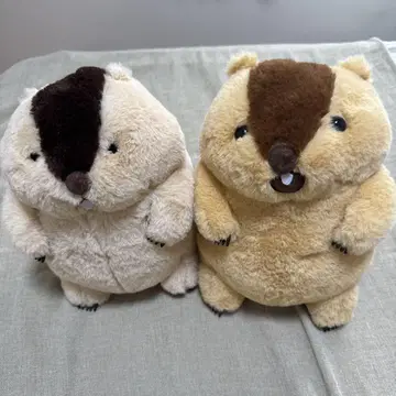 마모트의 모토토 봉제 인형 JB 2종 세트