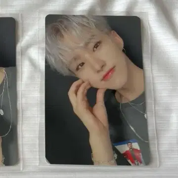 SEVENTEEN 세부치 호시 춤추는 꽃잎 A C