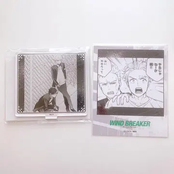 WIND BREAKER 윈브레 벚꽃 가지 프린세스 카페