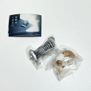 수령 부탁드립니다. 고양이 개 미개봉 새상품 가챠