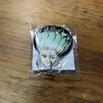 닥터 스톤 Dr.STONE 소프맵 이시가미 치쿠사 헤어 밴드
