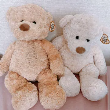 푹신푹신 봉제 인형 2종 세트 코스트코 쿠마이구루미 곰 택 포함