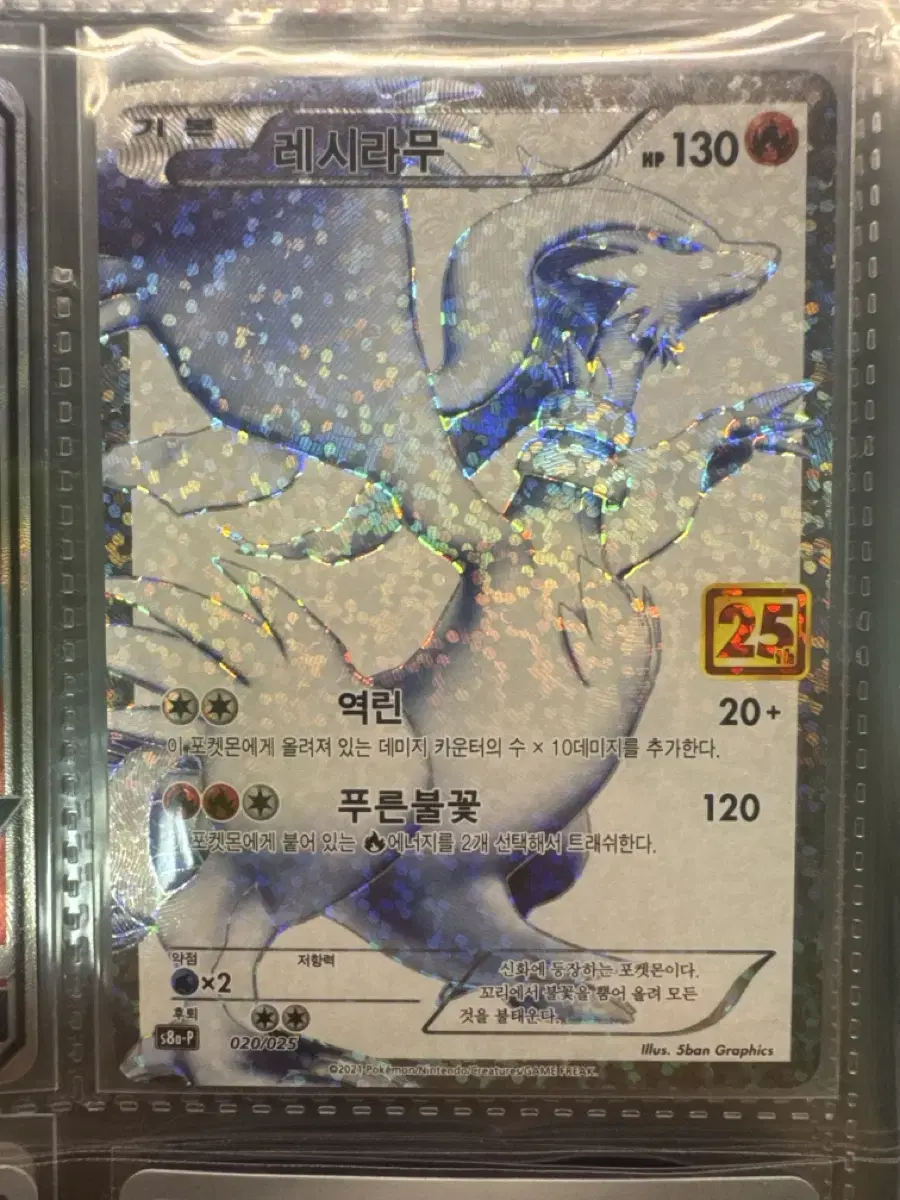 7 Pokemon cards, all in bulk *Includes Japanese version*