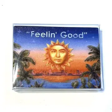 미개봉 새상품 후지이 카제 feelin good 지역 특산품 마그넷