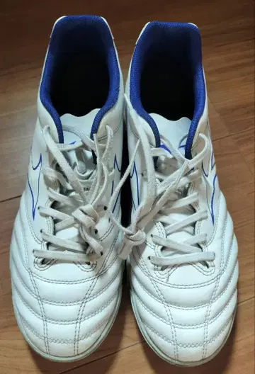 Mizuno 모나르시다 풋살화 화이트/블루