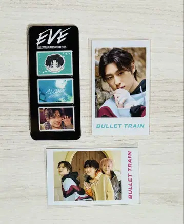 초특급 알로하 EVE 미니 사진 사진 그레이 부품