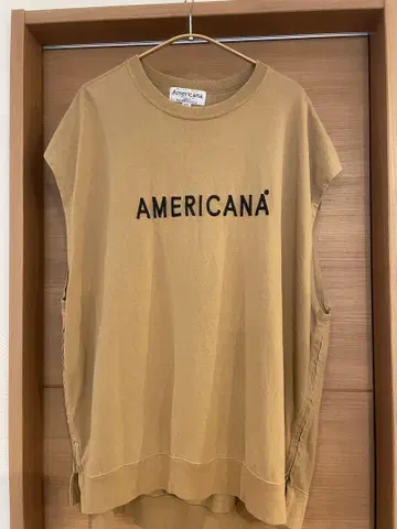 Americana 아메리카나 빅 티셔츠 슬리브리스
