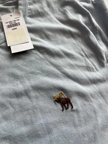Abercrombie & Fitch 라이트 블루 티셔츠 L