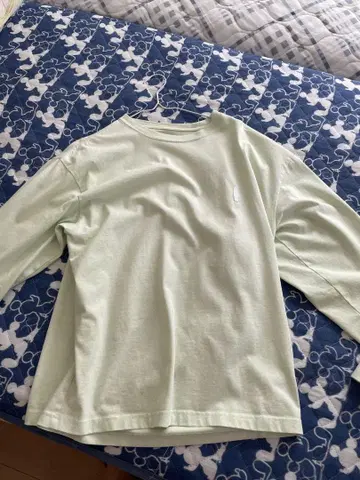 Quiksilver 연한 녹색 M 사이즈 긴팔 티셔츠