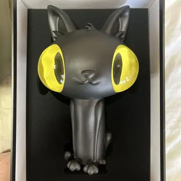Javier Calleja 고양이 하비 아카제하