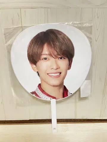 후카다 류세이 부채