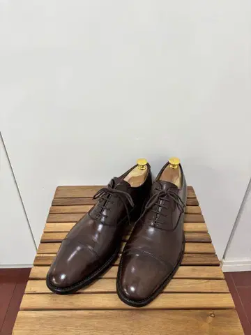 슈키퍼 포함] RAYMAR 레이머 ILCEA 호스 라디카 25cm