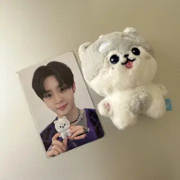 TREASURE 지훈 트레이딩 카드 봉제 인형 세트