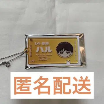 초특급 하루 티켓 키링