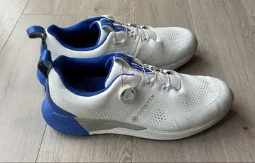 레어 미즈노 Mizuno GORE-TEX 방수 골프화 29cm