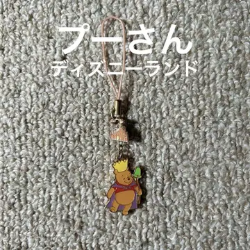곰돌이 푸 푸 디즈니 디즈니랜드 스트랩 키링