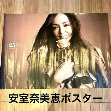 #25th Anniversary 아무로 나미에 포스터