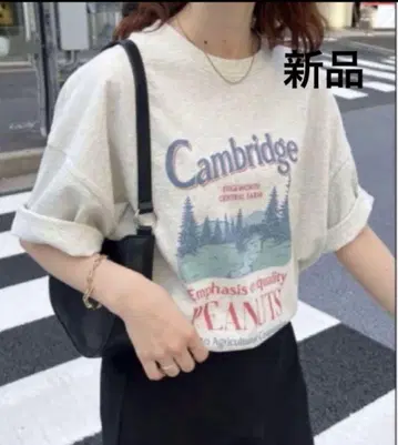 Discoat CamBridge 수베니어 빅 티셔츠