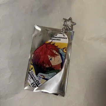 trip 아크링 키링