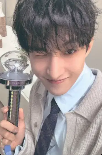 세븐틴 캐럿 존 DK 2025 캐럿 랜드