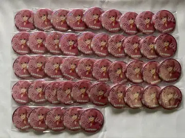 사토미 군 BIG 캔뱃지