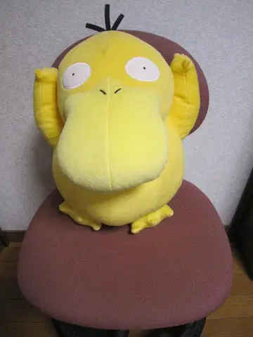 모후모후 코닥 높이 38*폭 31*전후 40cm