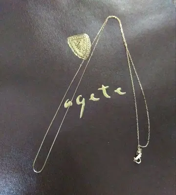 agate 아가트 K10 절개 디자인 롱 체인 목걸이