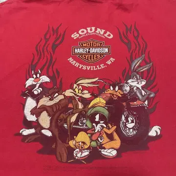 "HARLEY DAVIDSON 할리데이비슨 루니 툰즈