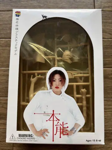 시이나 린코 본능 플라스틱 모델