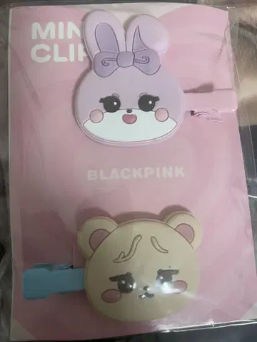 BLACKPINK 지수 (SOOYA) 제니 (GOMDEUKI) 미니 클립