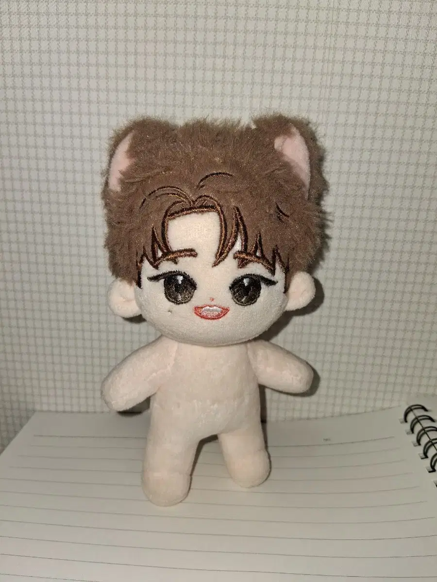 Vanner Hyesung unofficial doll Bbosom Bat (price suggestion)
