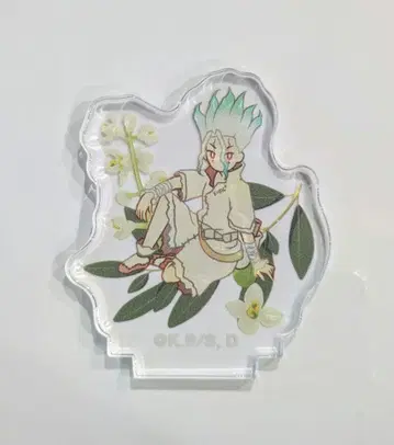 Dr.STONE 트레이딩 Botania 미니 아크릴 스탠드 이시가미 치쿠
