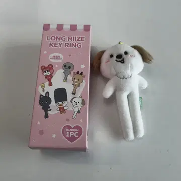 RIIZE PARK POPUP 앤톤 몽리온 롱 발길이 키링