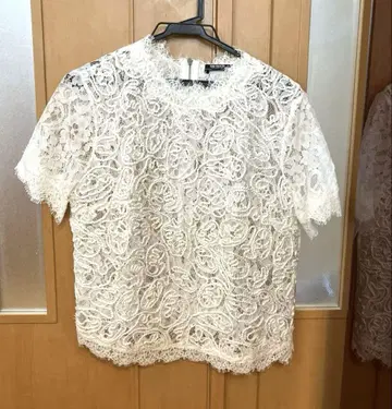 ZARA TRAFALUC 전체 레이스 상의 백 지퍼 반팔 숏 기장
