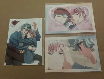 최저가 황혼 아웃 포커스 온라인 복권 혜택 브로마이드 레이 시온 세트