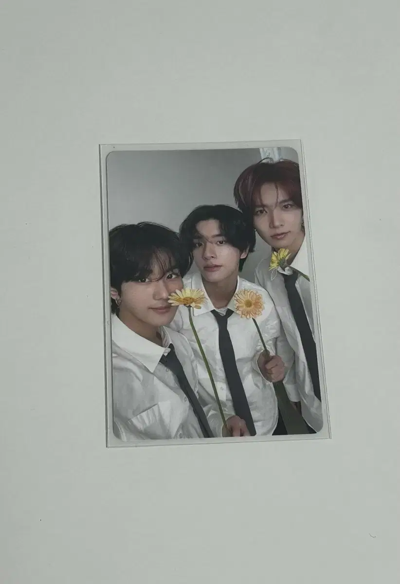 Enhyphen Ikon jungwon heeseung Jake unit poca