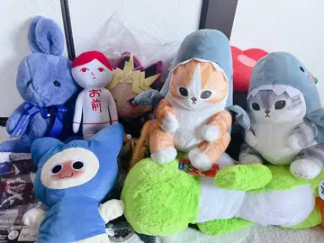 봉제 인형 묶음 판매 상어 고양 mofusand 요시